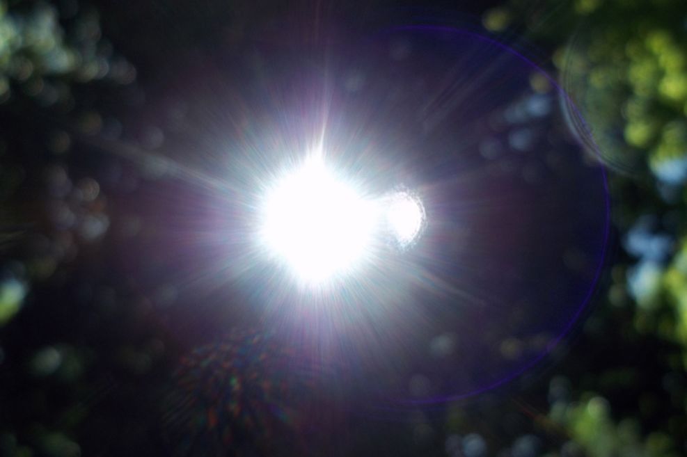 Solar Veil by Usha Lamat, a luminous photograph of brilliant sunlight shining through a dark forest with visible flare and soft surrounding greenery